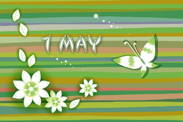 May 1 holiday, flowers and a butterfly