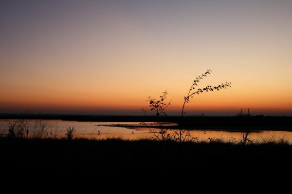 Evening sunset on the swamp