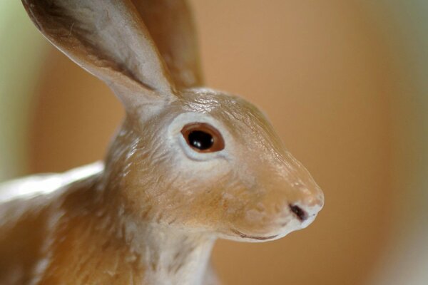 Photo de lapin en porcelaine souvenir