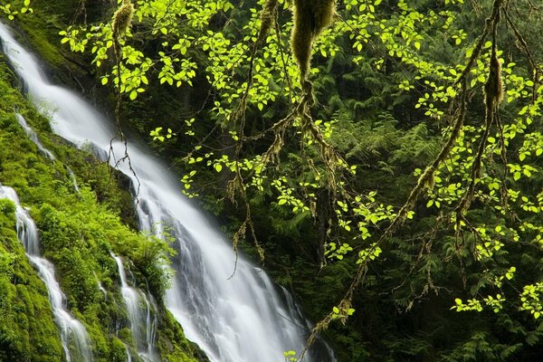 Cascata di Po tra i boschi