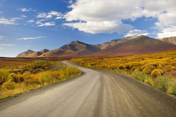 Camino a las montañas. Arbustos dorados