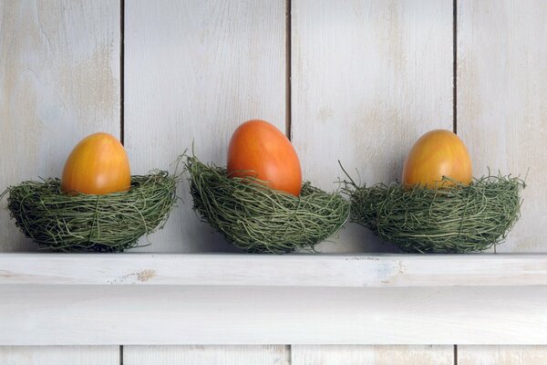 Trzy jaja dejat w gnieździe na półce