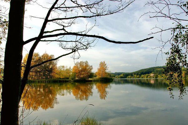 Lago autunnale con alberi in foglie gialle