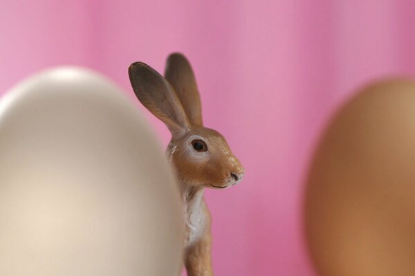 Пасхалтный кролик выглядывает из-за яйца