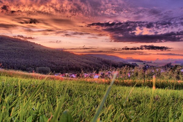 Beautiful sky on a background of green grass