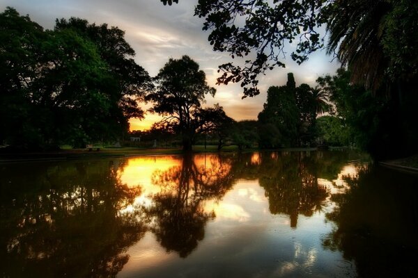 Lac dans la forêt sombre sur fond de beau coucher de soleil