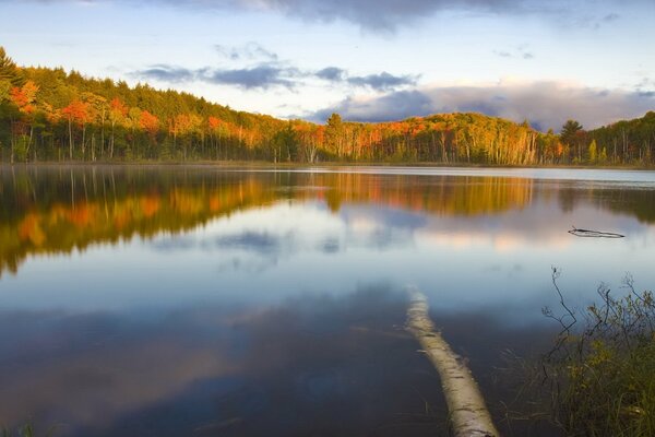 Calm lake autumn landscape