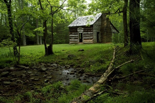 Wooden house in the woods by the stream