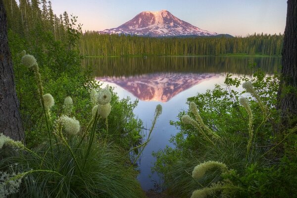 Sibirische Natur am See