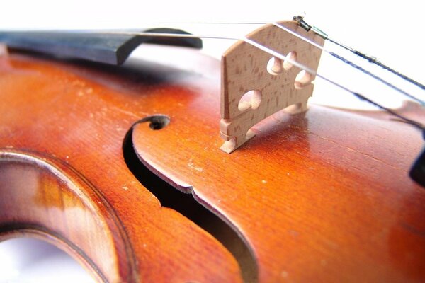 Three strings of a musical instrument violin