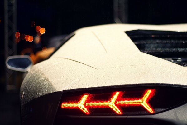 Night view of the rear dimensions of a white lamborghini