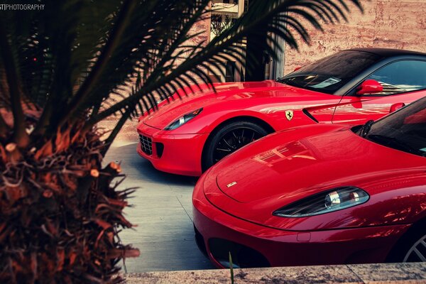 Voitures rouges ferrari à la maison