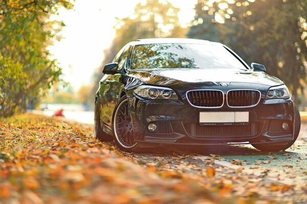 A chic BMW on the autumn road