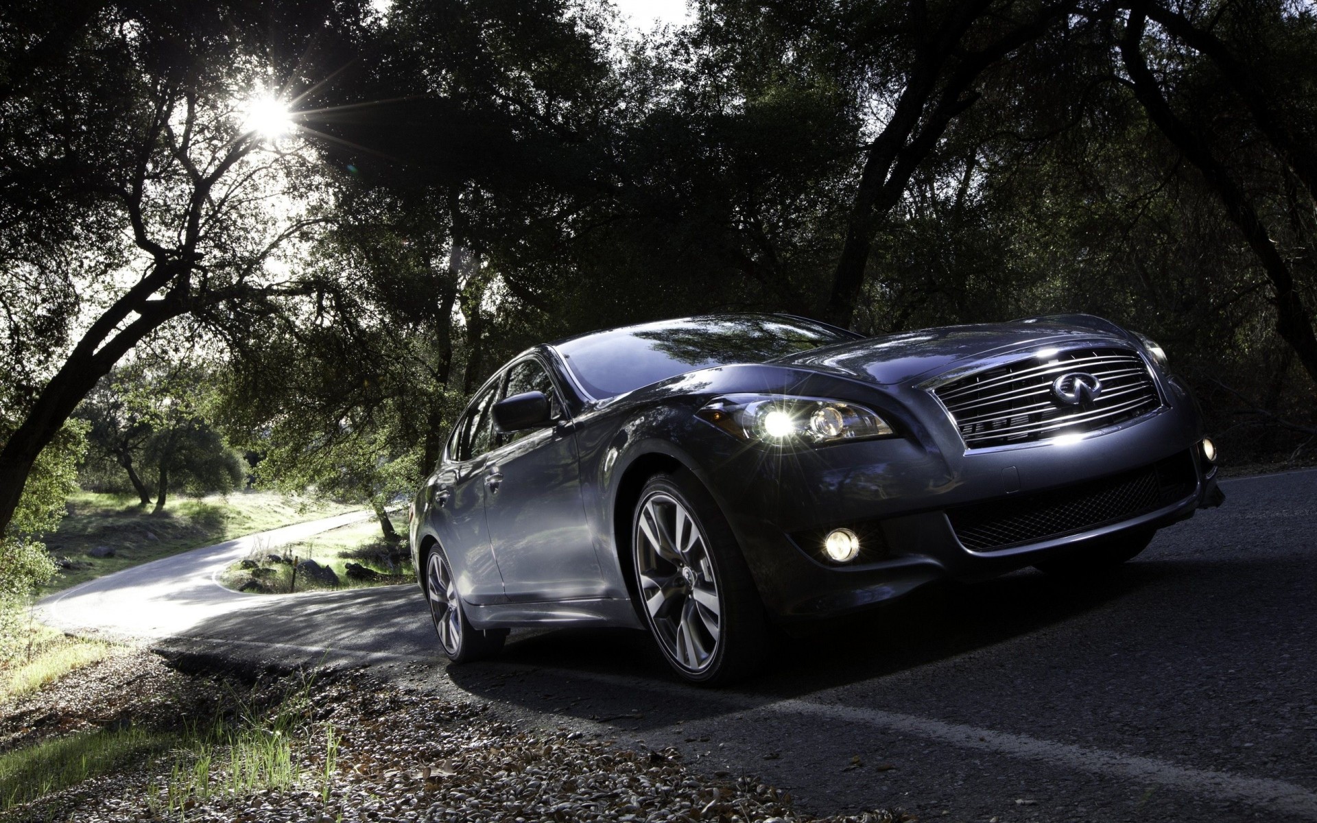 carretera coche faro palmeras caro infiniti auto