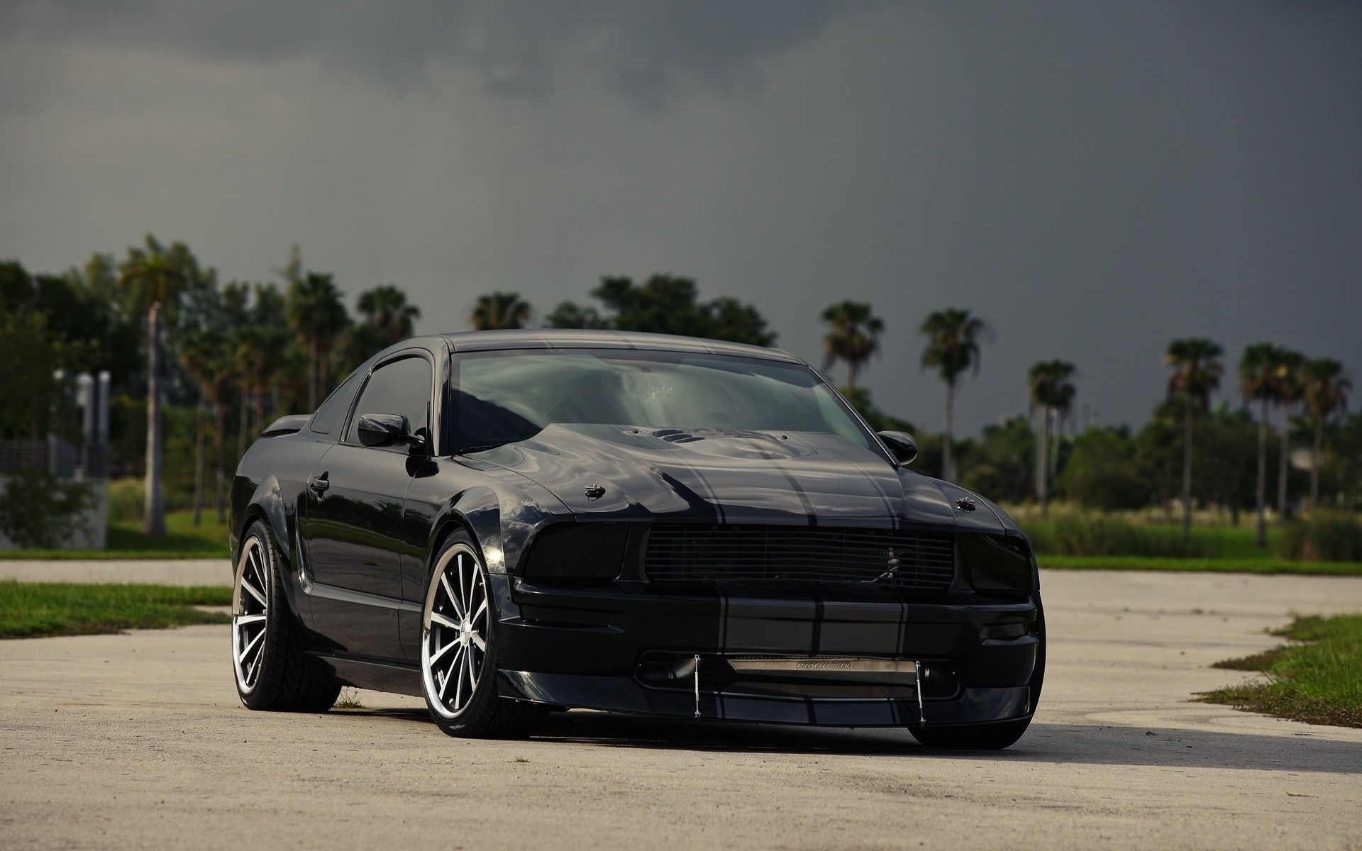 ford mustang negro cielo teñido