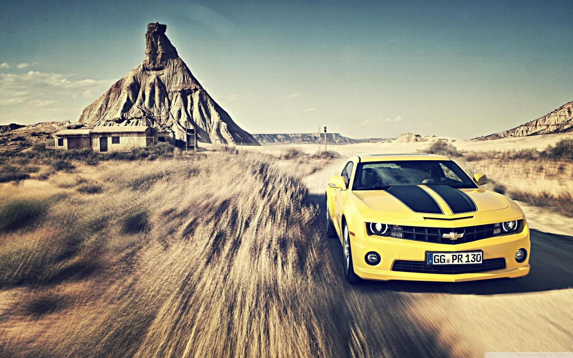 camaro deserto