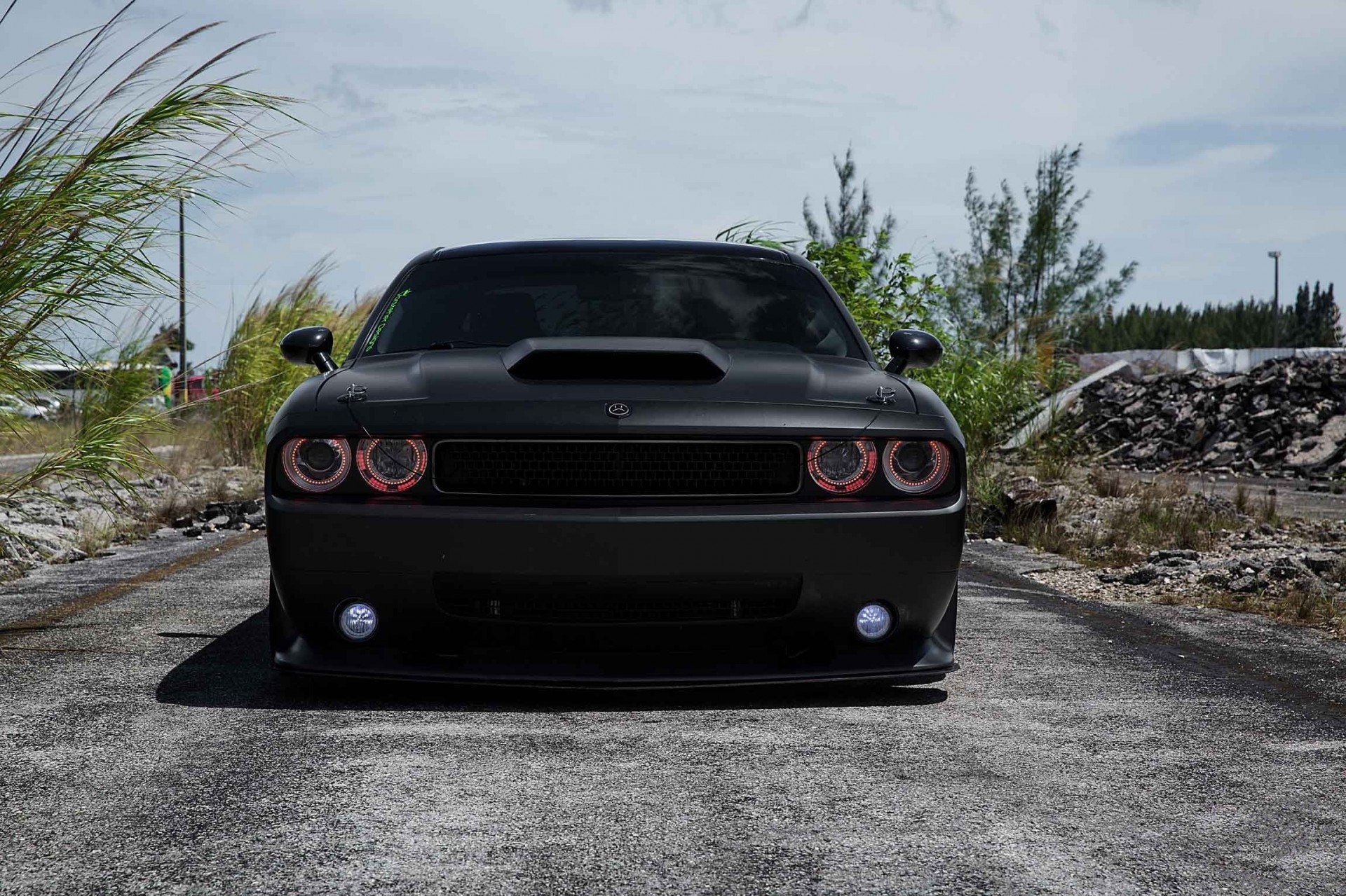 vossen dodge