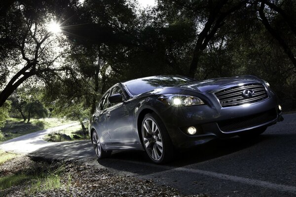 Infiniti car on the road under palm trees