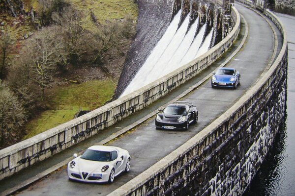 Auto sportive sulla strada vicino allo stagno