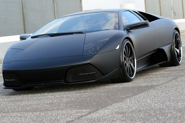 Murcielago negro en acabado mate