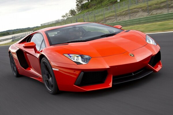 Premium red lamborghini aventador car