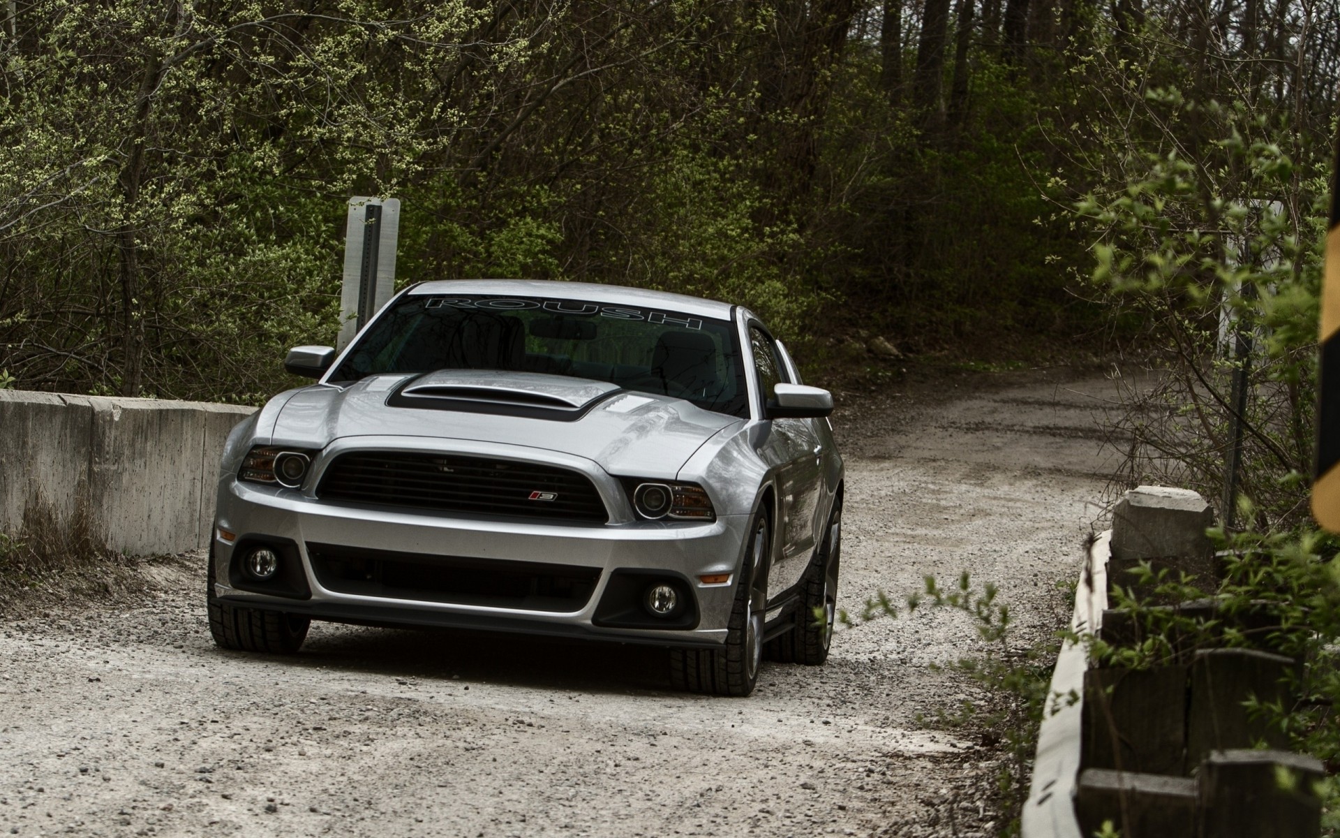 mustang straße ford natur