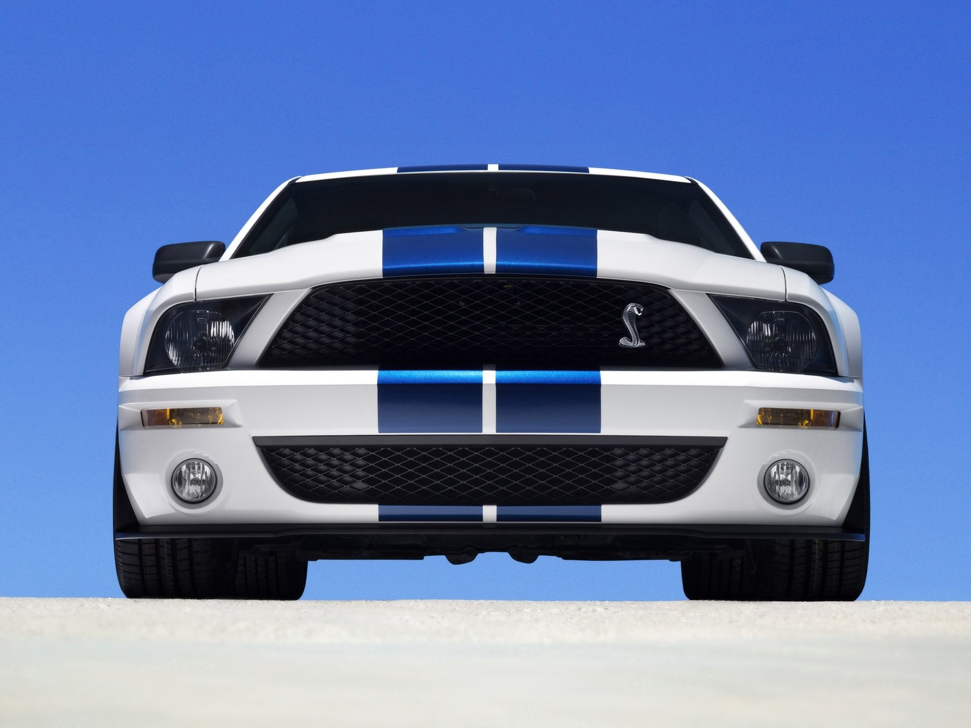 vista frontale ford shelby ford gt500 automobili shelby