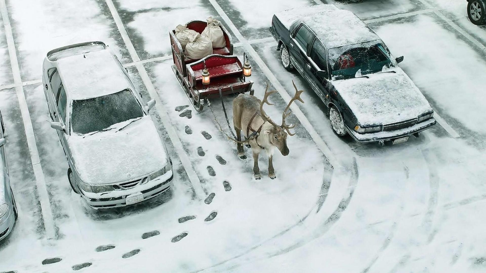 drôlement neige noël humour traîneau voitures hiver cerf