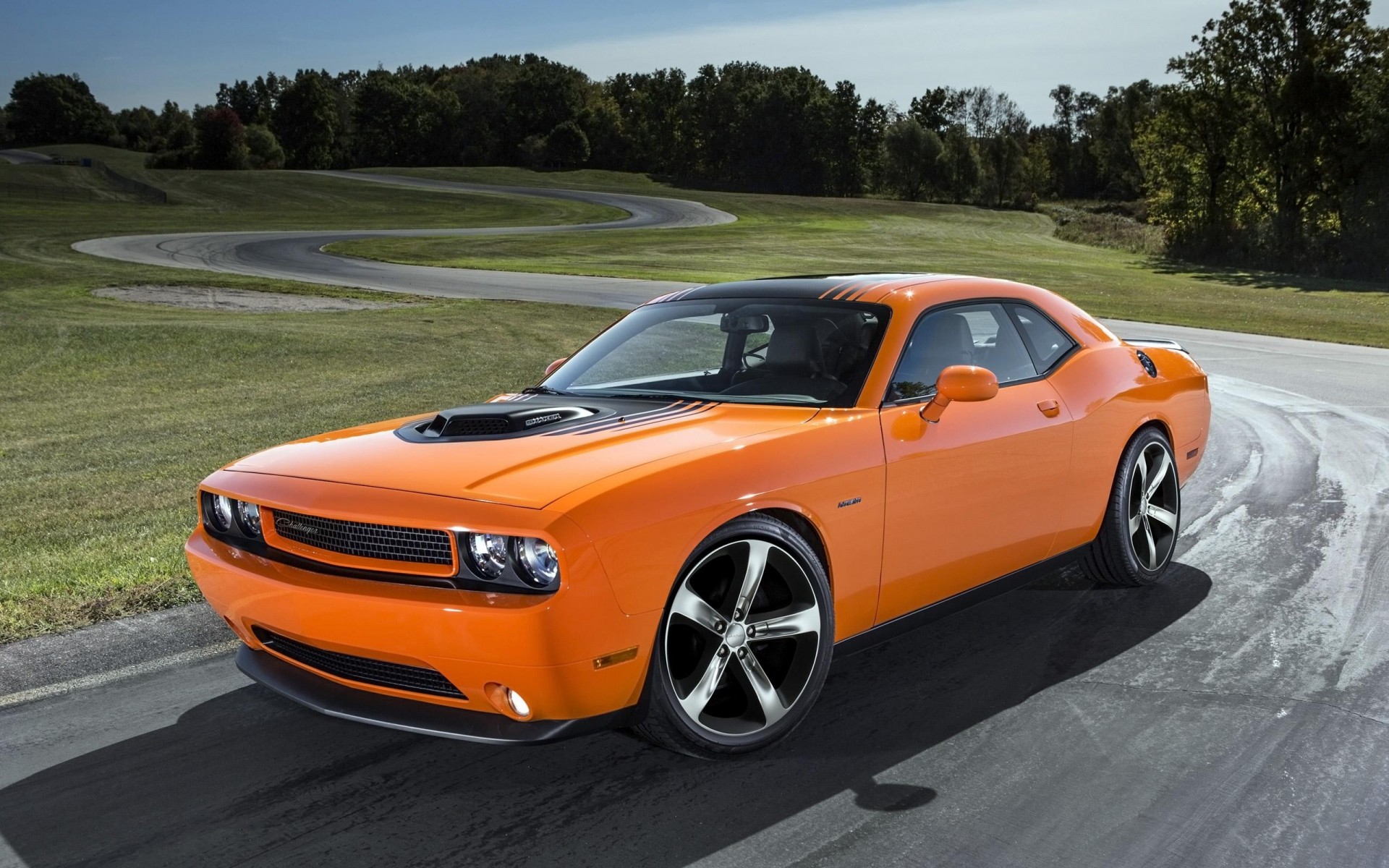 cars 2014 dodge