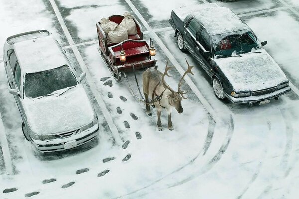 Santa parked the sleigh between the cars