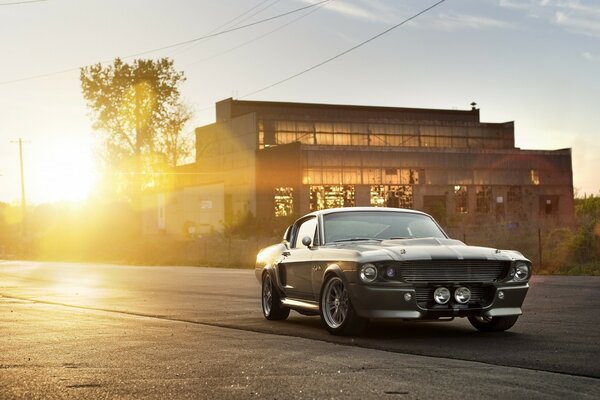 Brutal Ford Mustang dans les rayons du soleil