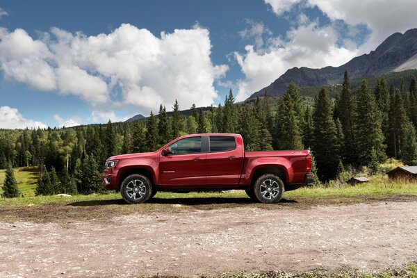 Camión pick-up clásico para el campo