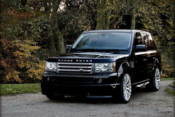 A black car is parked in the woods