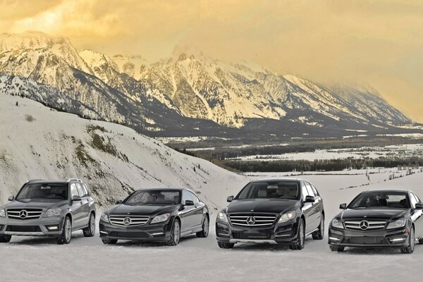 Mercedes Benz range of models in the mountains