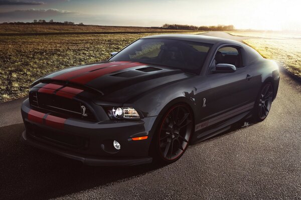 Mustang ford ford dark color