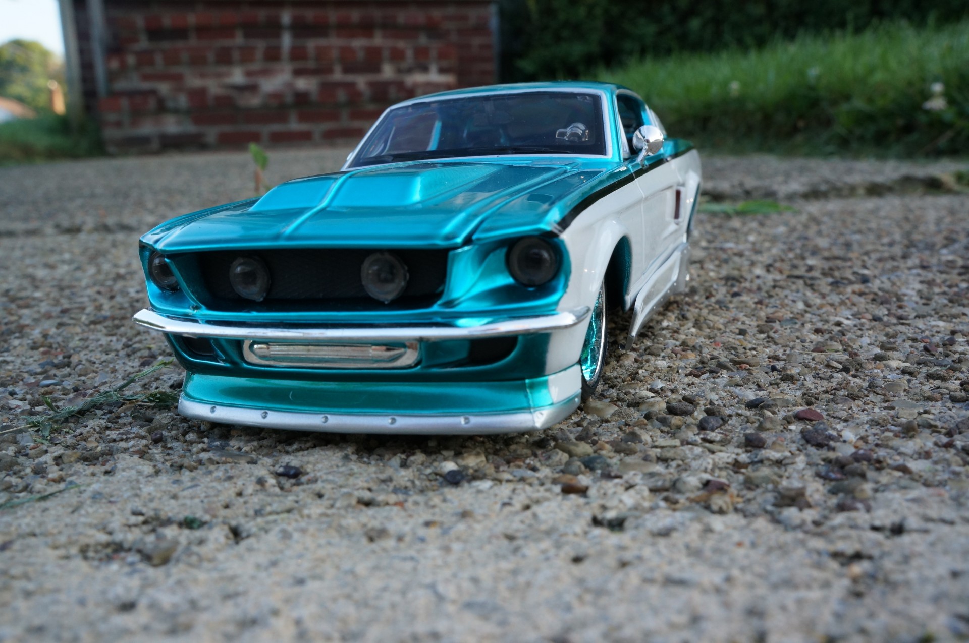 mustang ford mustang