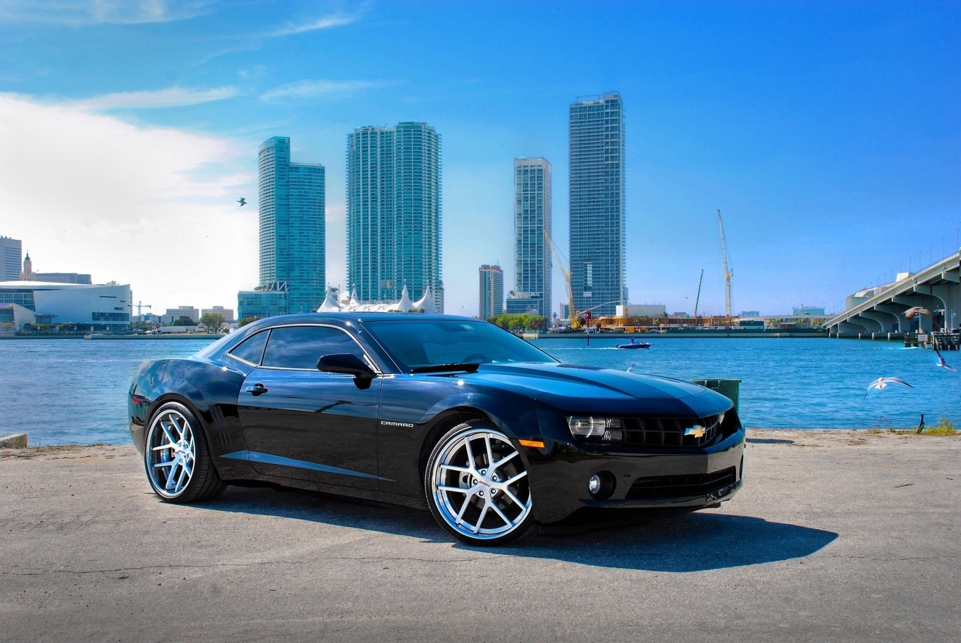 camaro ss chevrolet camaro ss czarny corvette chevrolet