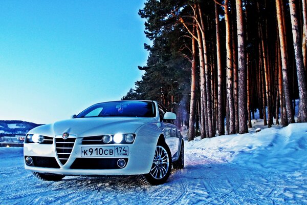 Alfa Romeo dans la forêt enneigée