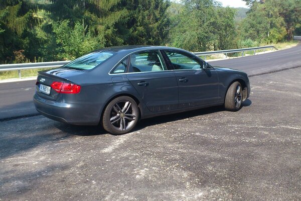 Blue Audi. Stop on demand