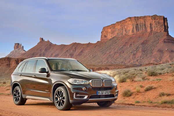 Кроссовер бмв x5 xdrive50i в пустыне