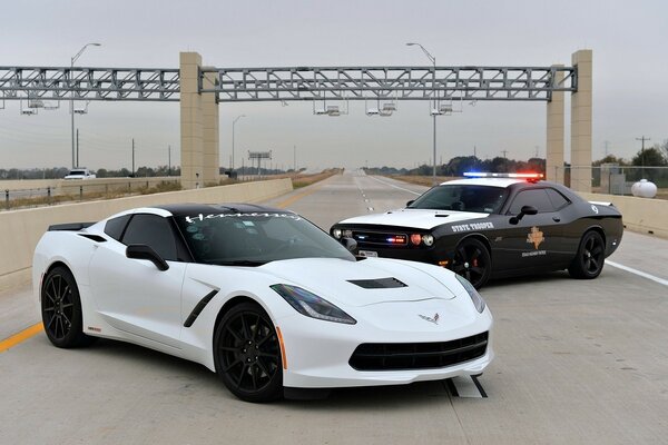 Two sports cars on the track. White racing and police corvette