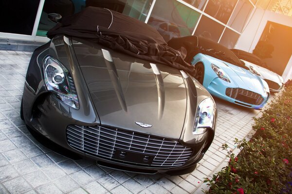 Parade of new Aston Martin in different colors