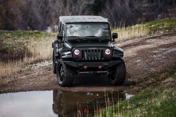 SUV negro en el bosque