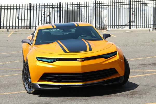 Shivrole Corvette réplique exacte de Bumblebee de Transformers