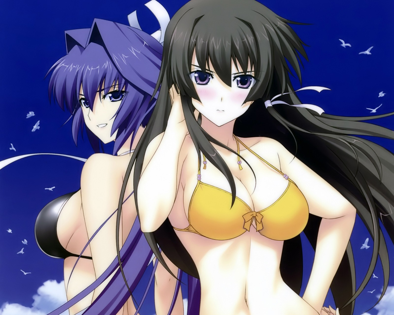 black hair bikini swimsuit purple hair long hair 2girl