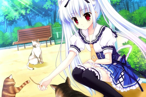 Anime seifuku with cats in the park