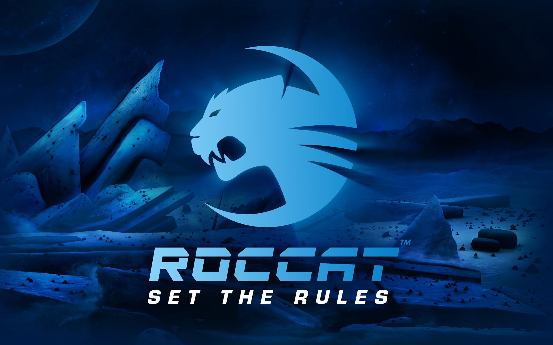 roccat logotipo fondos de pantalla