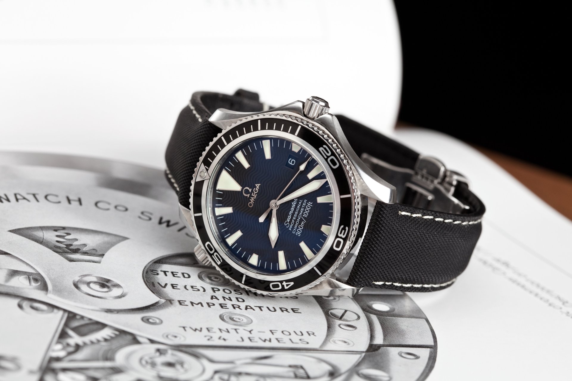 uhr omega seamaster professionell