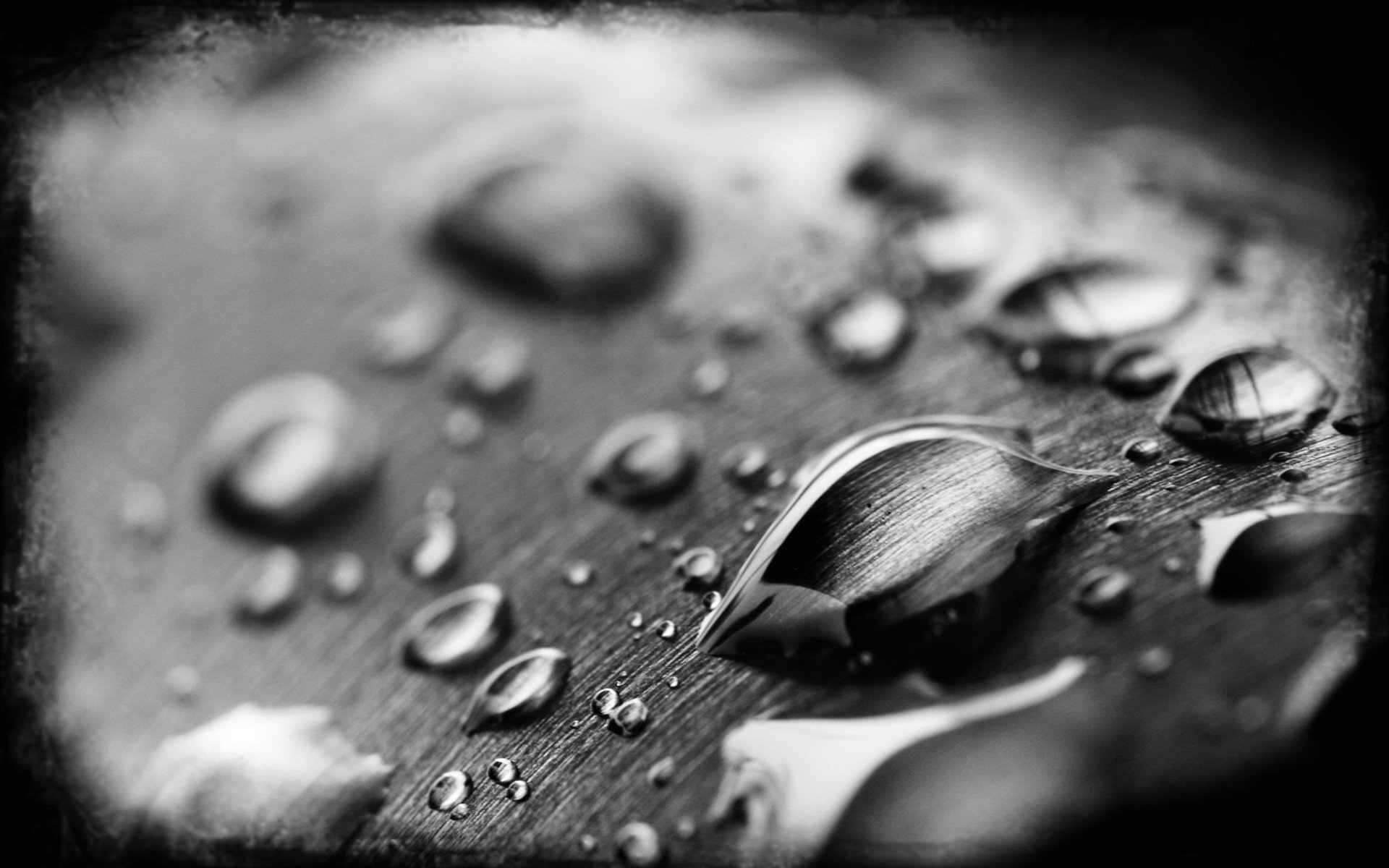 black and white photo water drops light