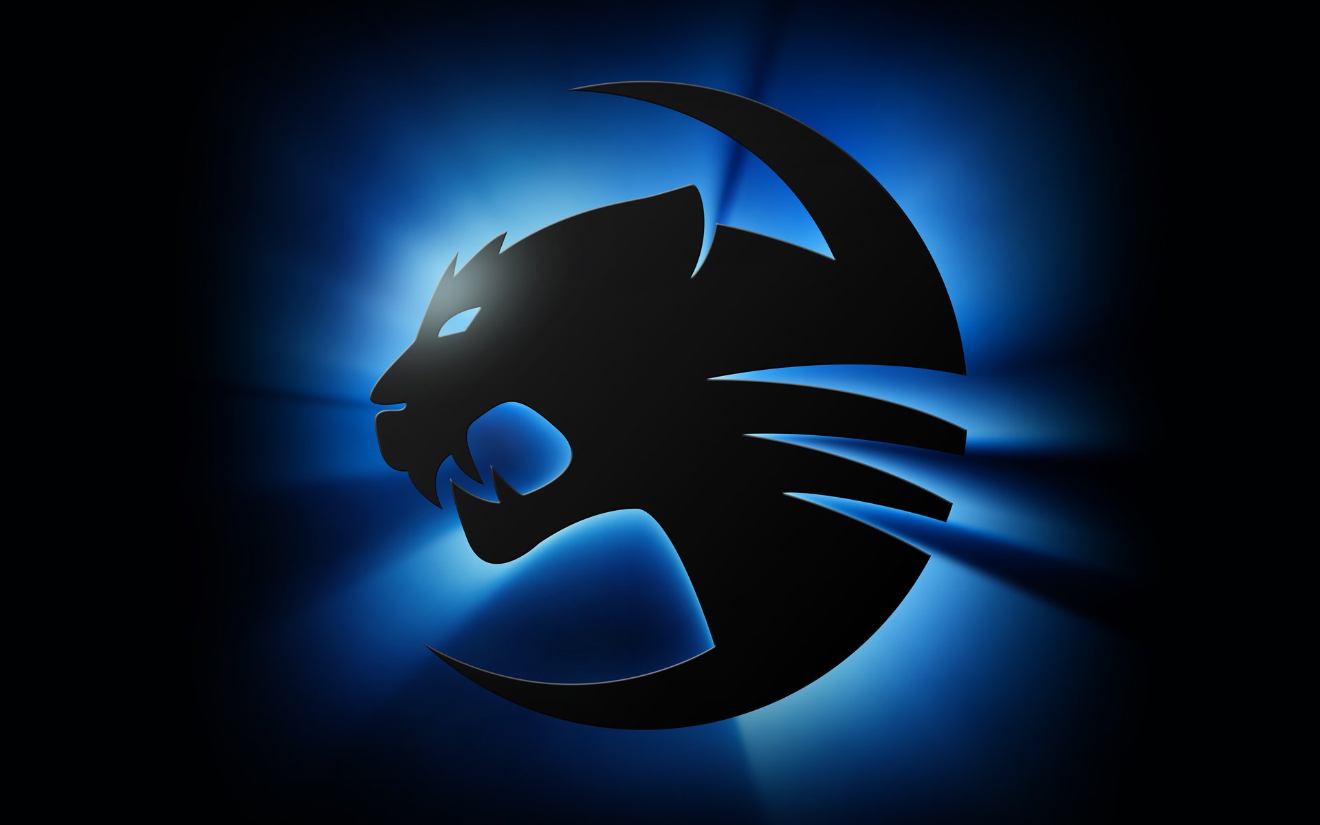 roccat darkglow papier peint